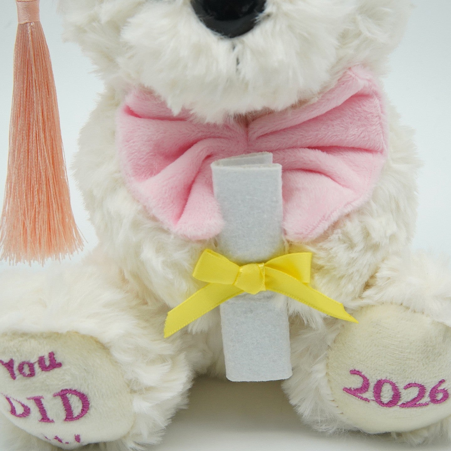 2026 Graduation Bears Plush Teddy Bear Stuffed Animal for Graduation Gift