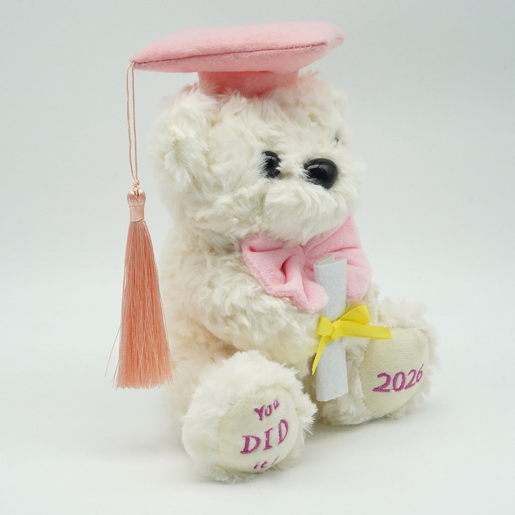 2026 Graduation Bears Plush Teddy Bear Stuffed Animal for Graduation Gift
