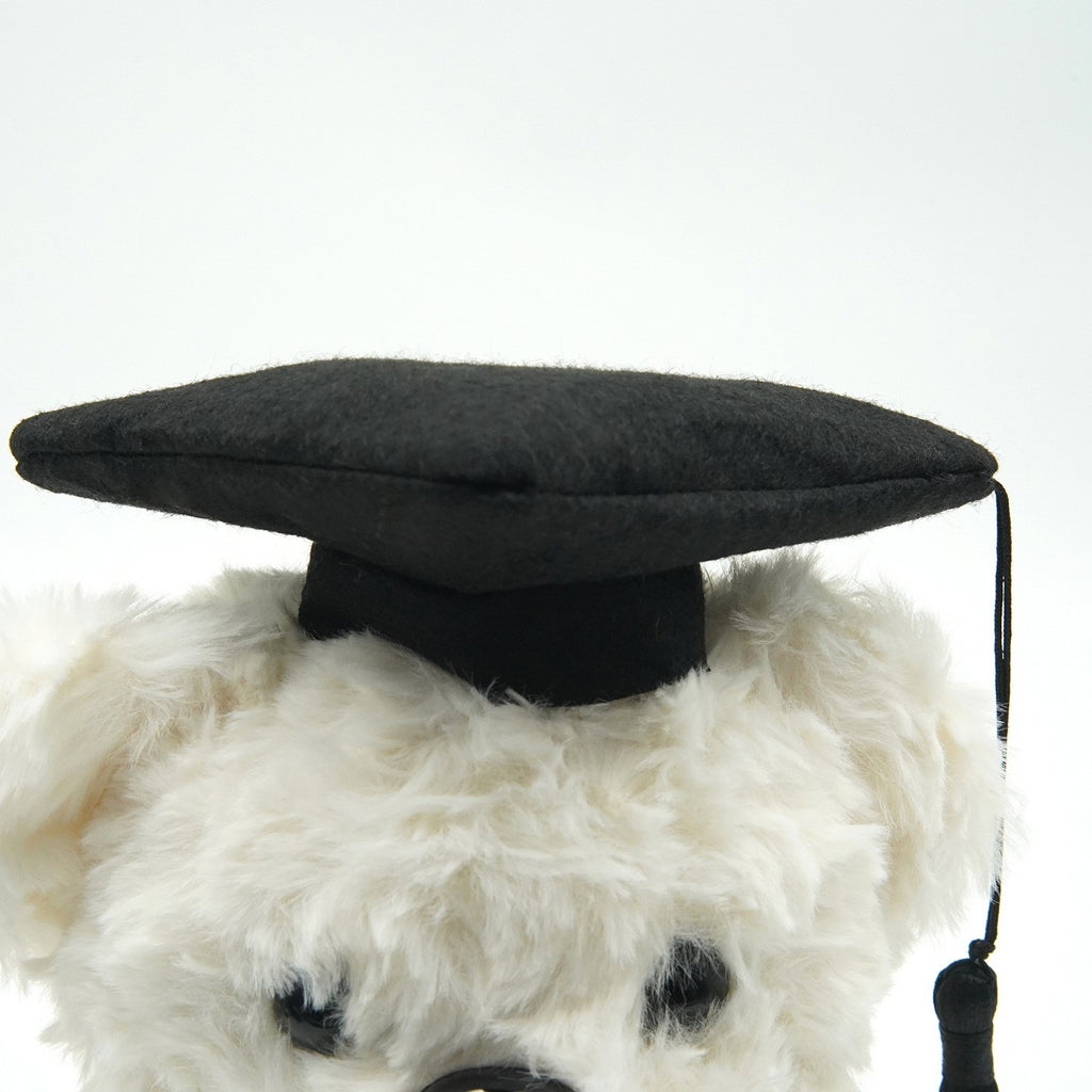 2026 Graduation Bears Plush Teddy Bear Stuffed Animal for Graduation Gift
